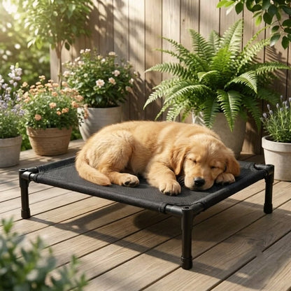 toutou allonger sur lit pour chien surélevé