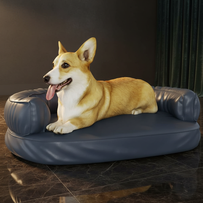 toutou assis dans banquette chien dans salon