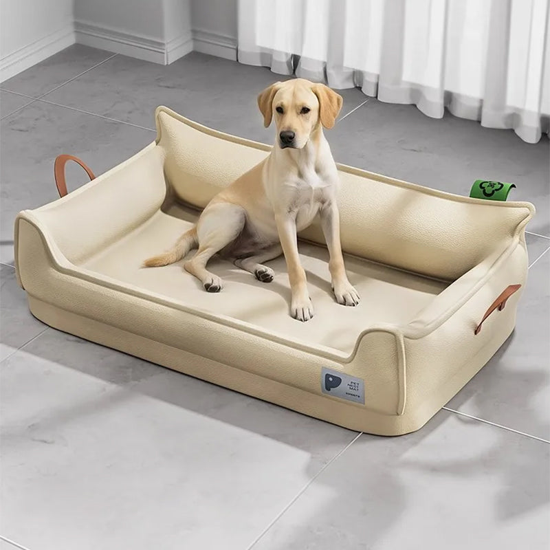 toutou assis dans banquette pour chien