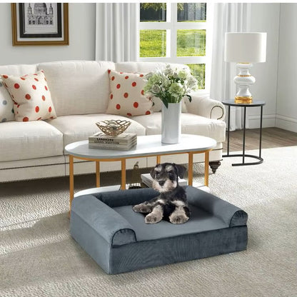 toutou assis dans canape XXL chien avec coussin