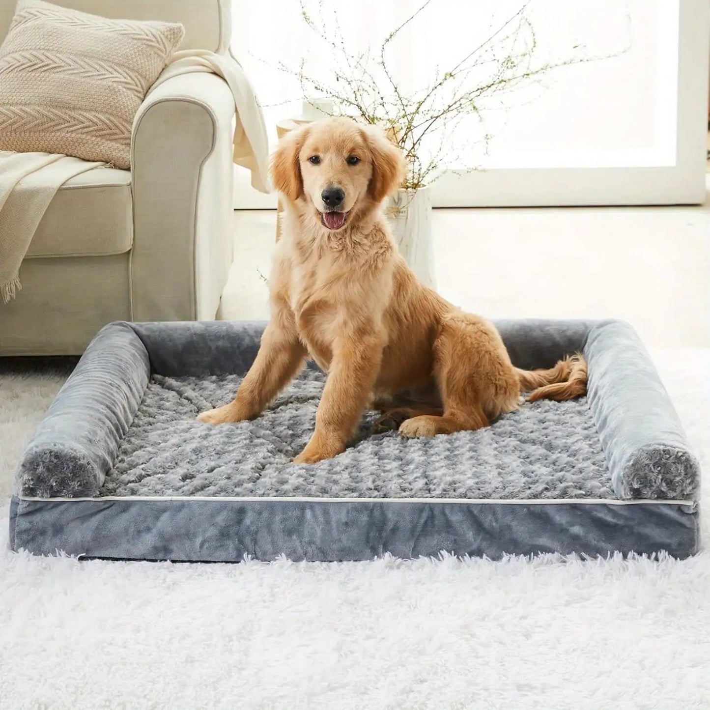toutou assis dans canape  chien xxl confortable
