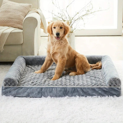 toutou assis dans canape  chien xxl confortable