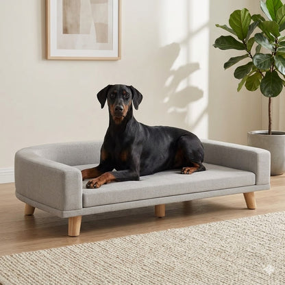 toutou assis dans canape lit chien XXL