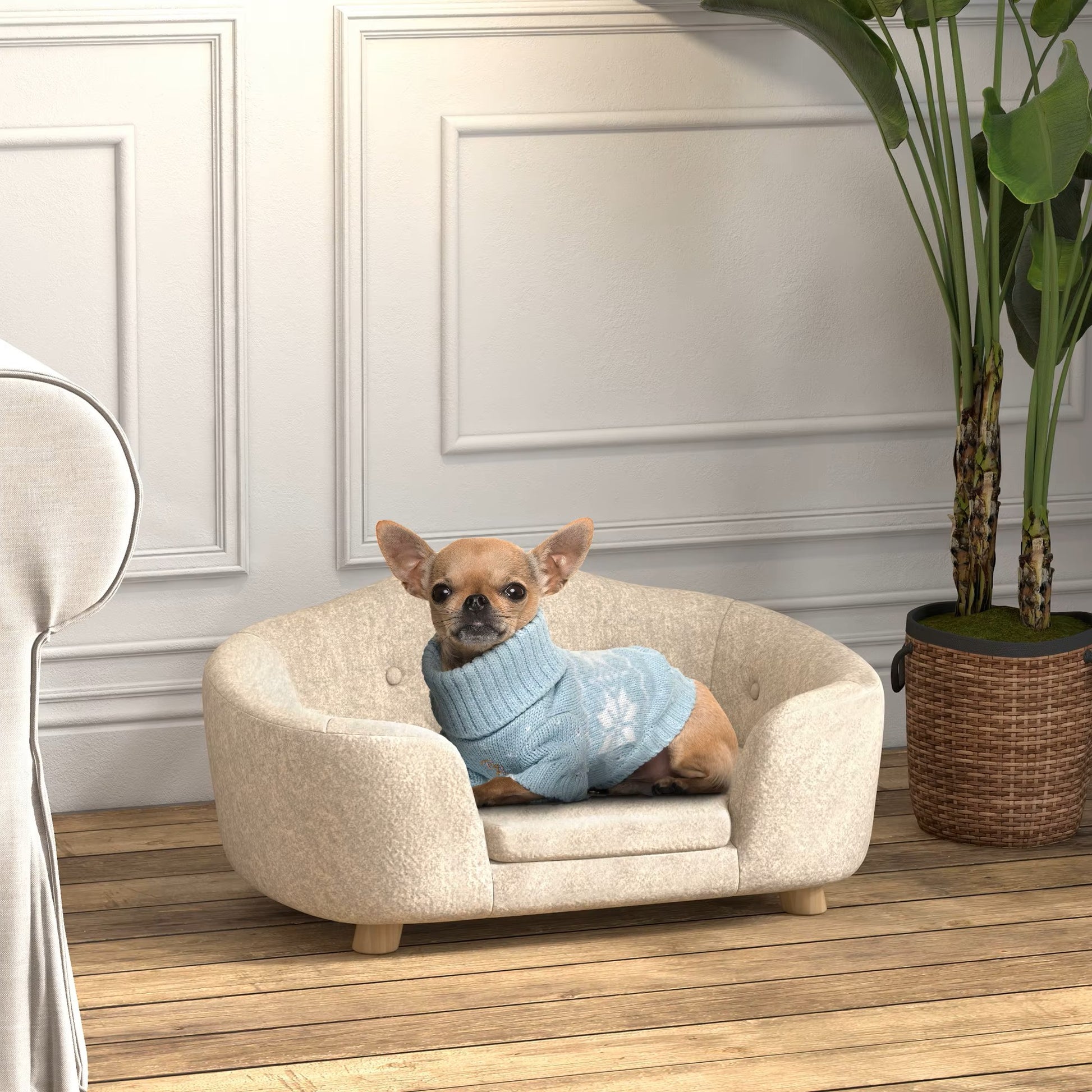 toutou assis dans canape sur pieds pour chien chaud