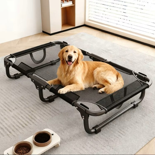 toutou assis dans lit de camp pour chien XL