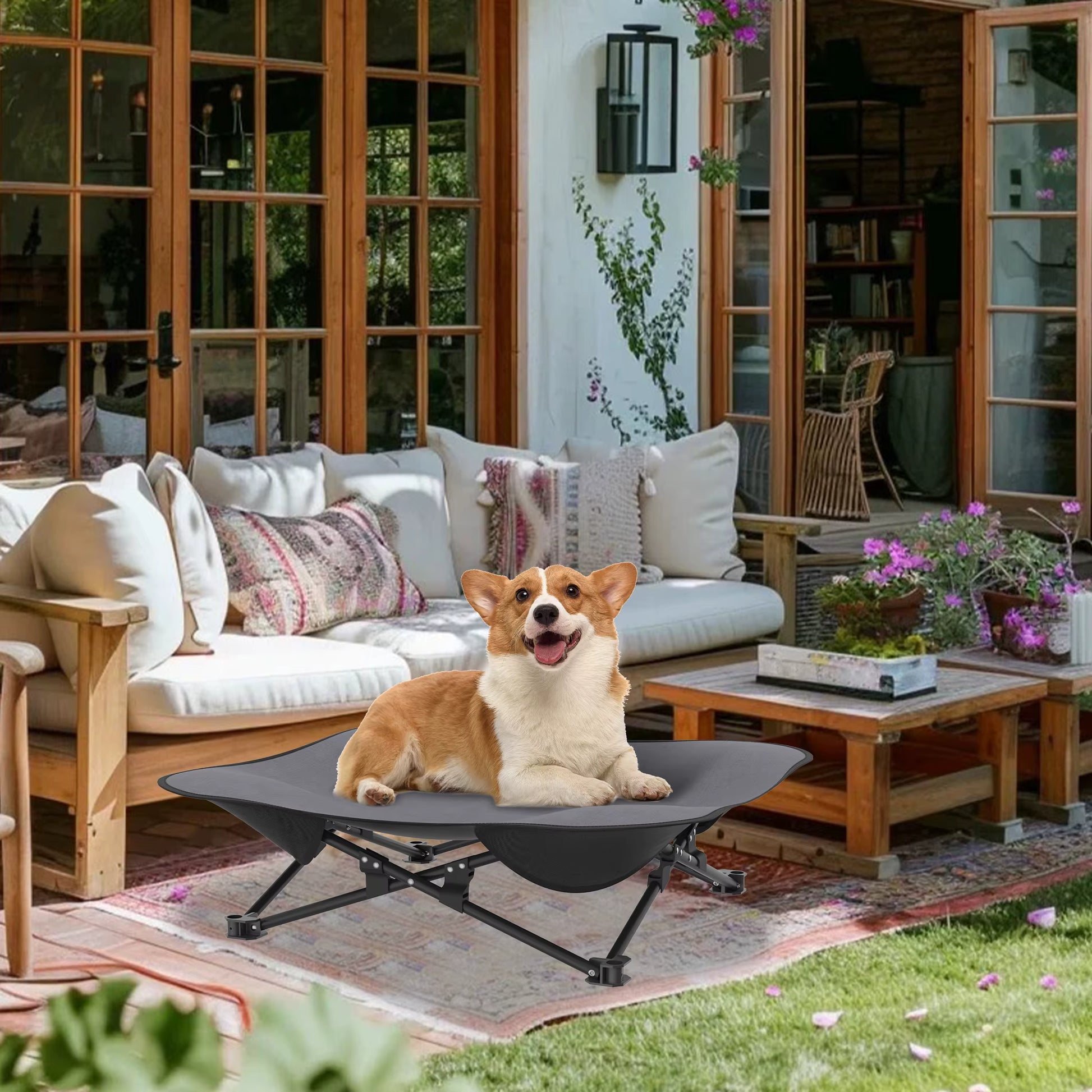 toutou assis dans lit pour chien pliant dans salon