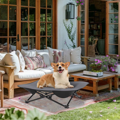 toutou assis dans lit pour chien pliant dans salon