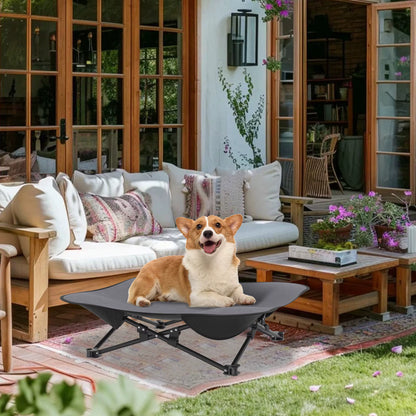 toutou assis dans lit pour chien pliant dans salon