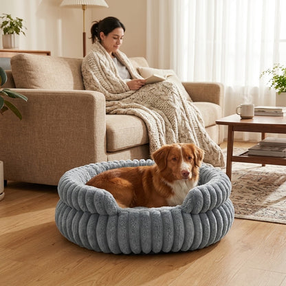 toutou assis dans panier orthopédique pour chien moelleux et doux