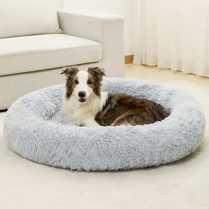 toutou assis dans panier pour chien