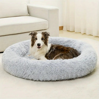 toutou assis dans panier pour chien