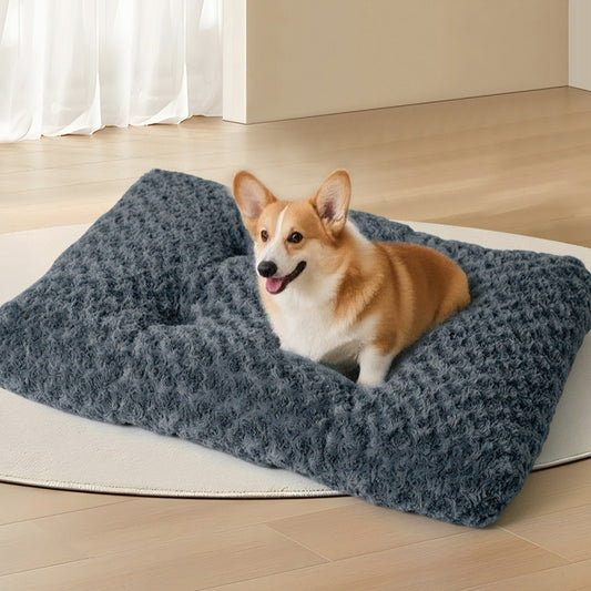 toutou assis dans tapis pour chien lavable