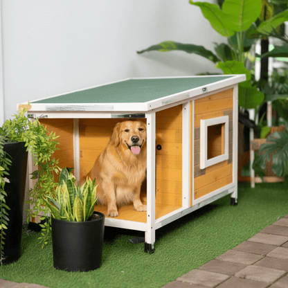 toutou assis sous porche de niche pour chien toit plat