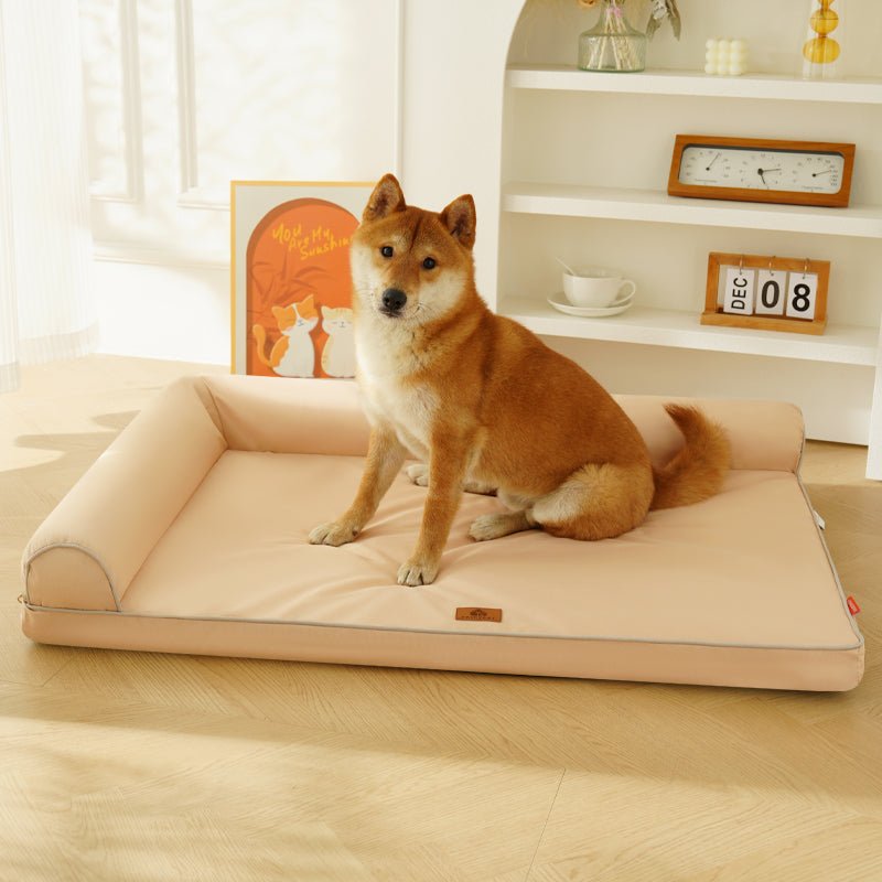 toutou assis sur canapé lit pour grand chien avec fermeture éclaire
