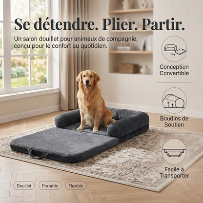 toutou assis sur canape pour chien XX déhoussable