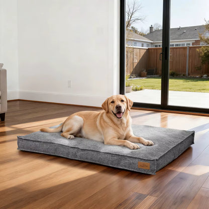 toutou assis sur canape pour chien xxl l_impermeable