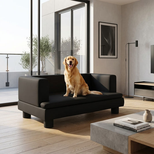 toutou assis sur canape pour petit chien en similicuir
