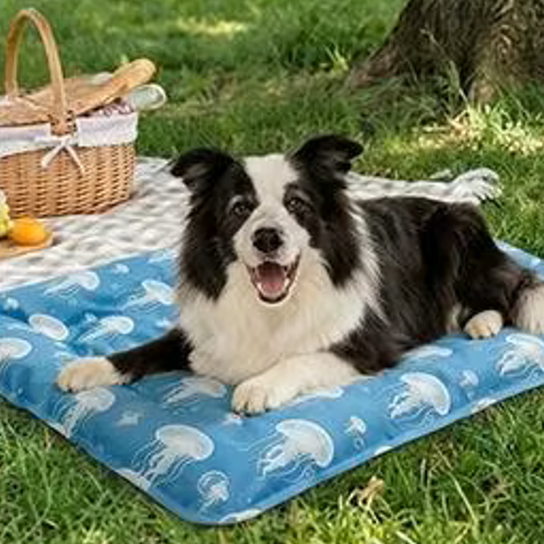 toutou assis sur chien tapis rafraichissant indéchirable