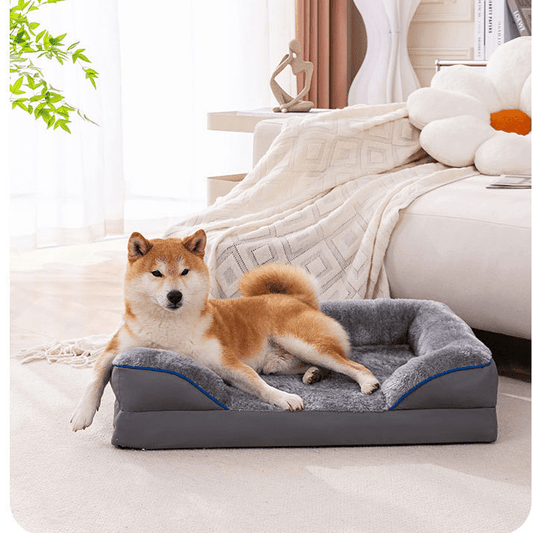 toutou assis sur lit pour chien grand taille