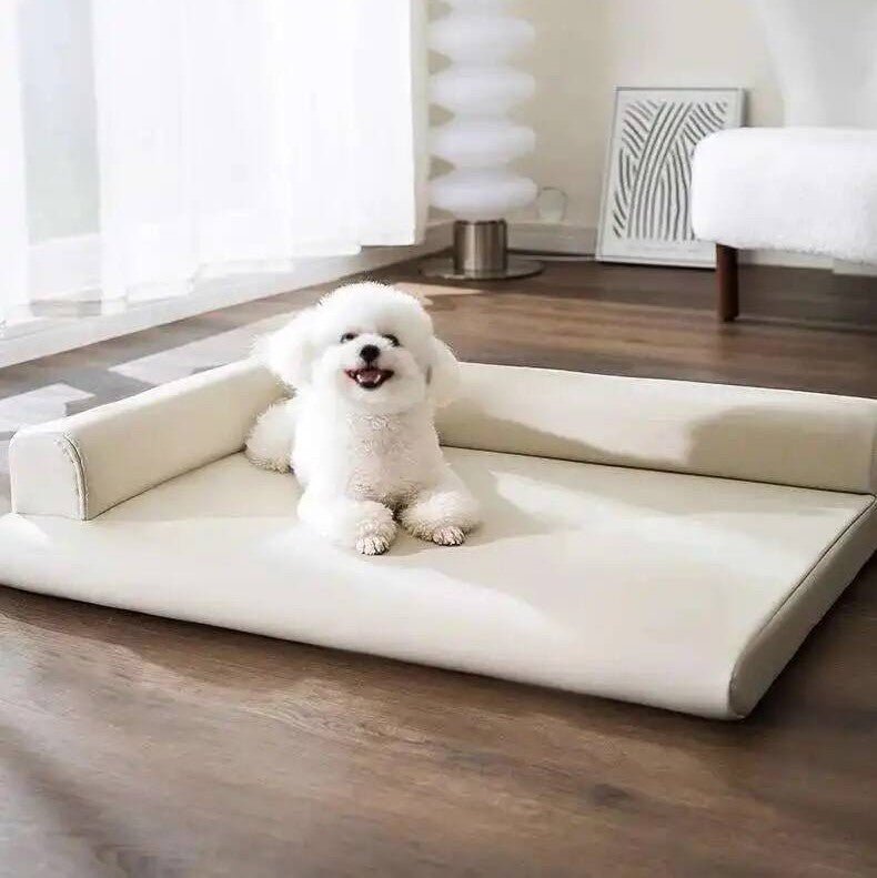 toutou assis sur matelas orthopédique pour chien imitation cuir