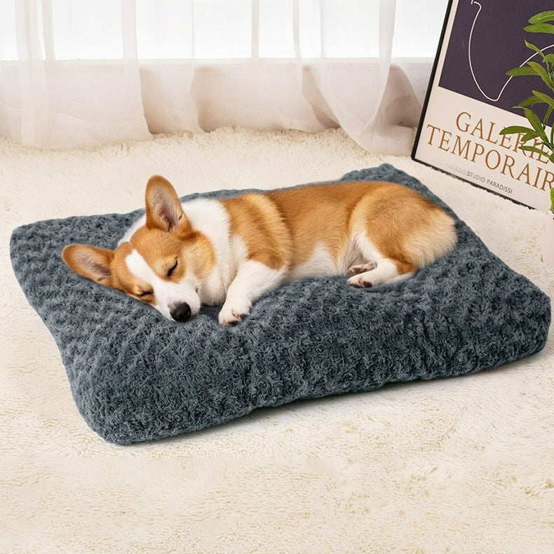 toutou assoupie sur tapis pour chien lavable