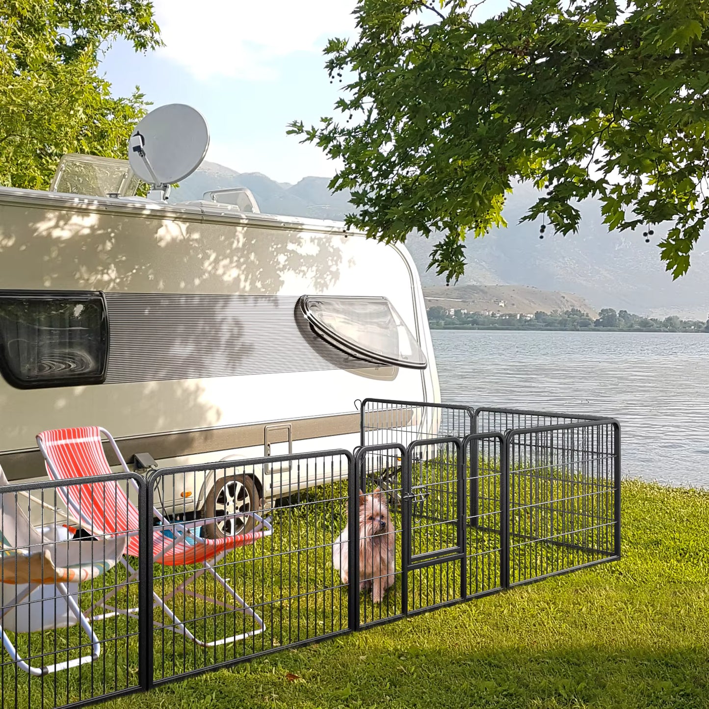 toutou aux camping dans parc pour chiens solide