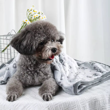 toutou avec la couverture chien respirante