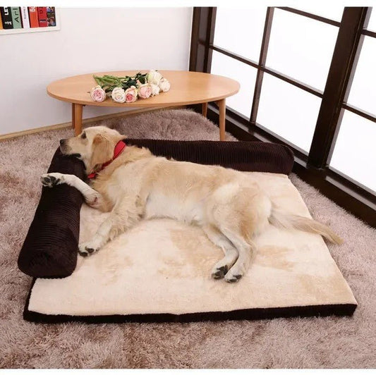 toutou bien allonger dans canapes pour en peluche 