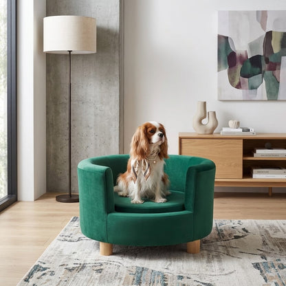 toutou chic dans canape luxe pour chien dans salon moderne