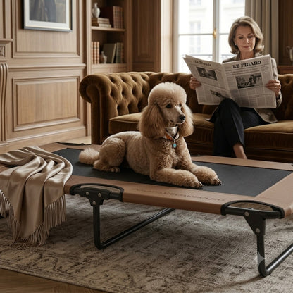 toutou chic sur lit pour chien surélevé  xxl dans salon