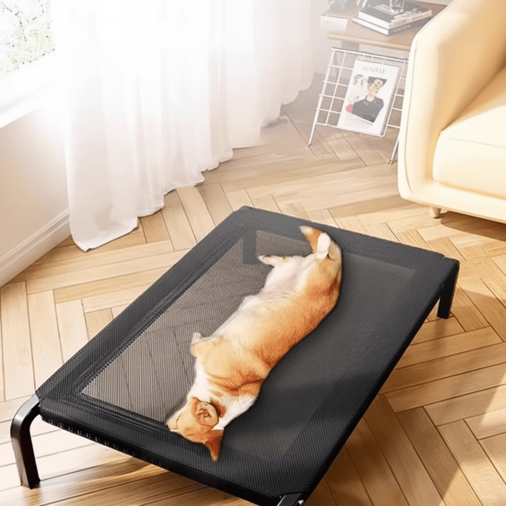 toutou complètement allonger sur lit de camp chien respirant