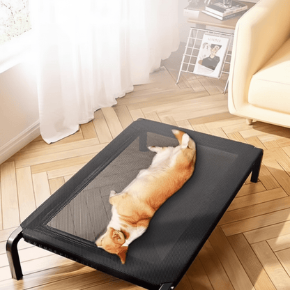toutou complètement allonger sur lit de camp chien respirant