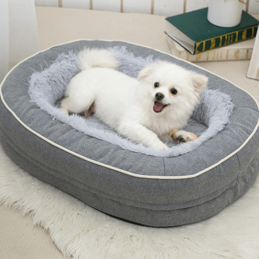 toutou content dans canapé orthopédique pour chien