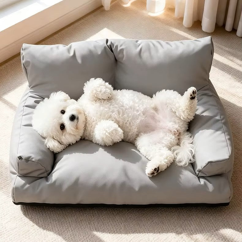 toutou content dans fauteuil pour chien avec une base antidérapante