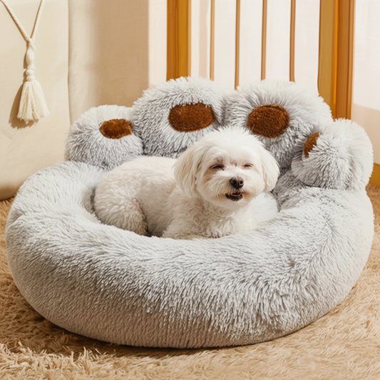 toutou content dans son lit pour chien en peluche