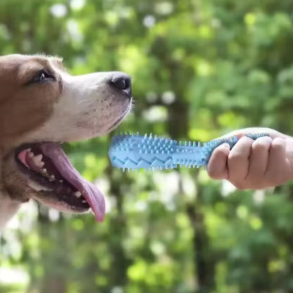 Jouets Pour Chien | Résistants et Ludiques