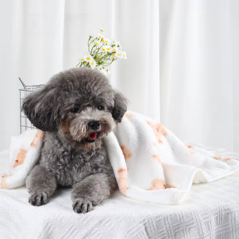 toutou content de sa couverture chien en polaire
