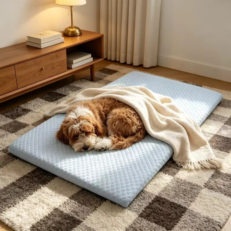 toutou couvert dans tapis rafraichissant chien grand taille doux