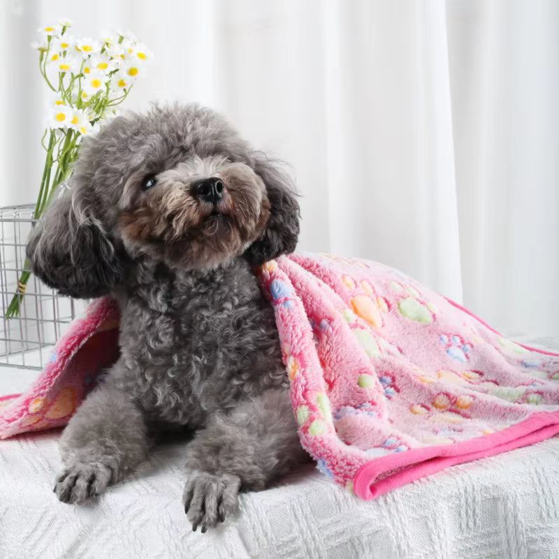 toutou couvert par couverture chien avec des rebords solide