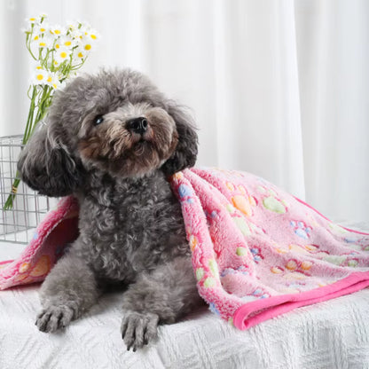 toutou couvert par couverture chien avec des rebords solide