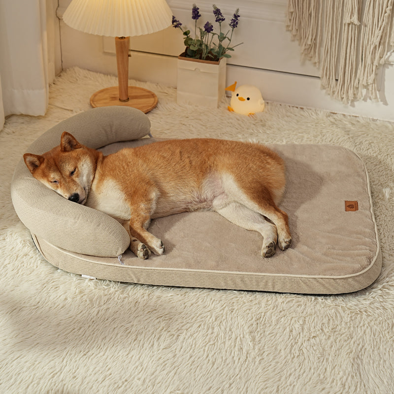 toutou détendu dans coussin pour chien avec appui tête