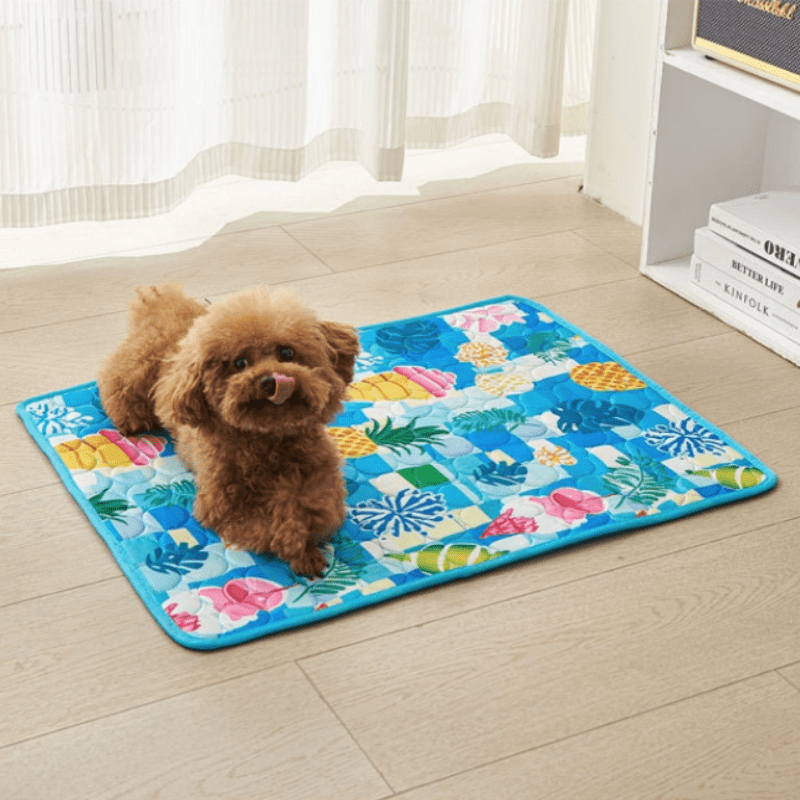 toutou détendu dans couverture rafraichissante chien