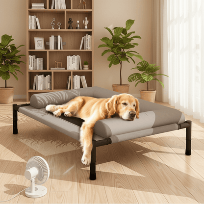 toutou détendu dans lit surélevé pour grand chien dans salon