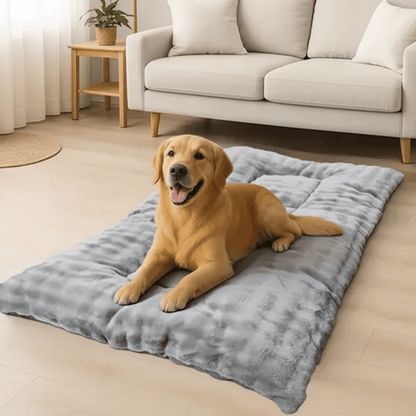 toutou détendu dans matelas pour chien xxl doux