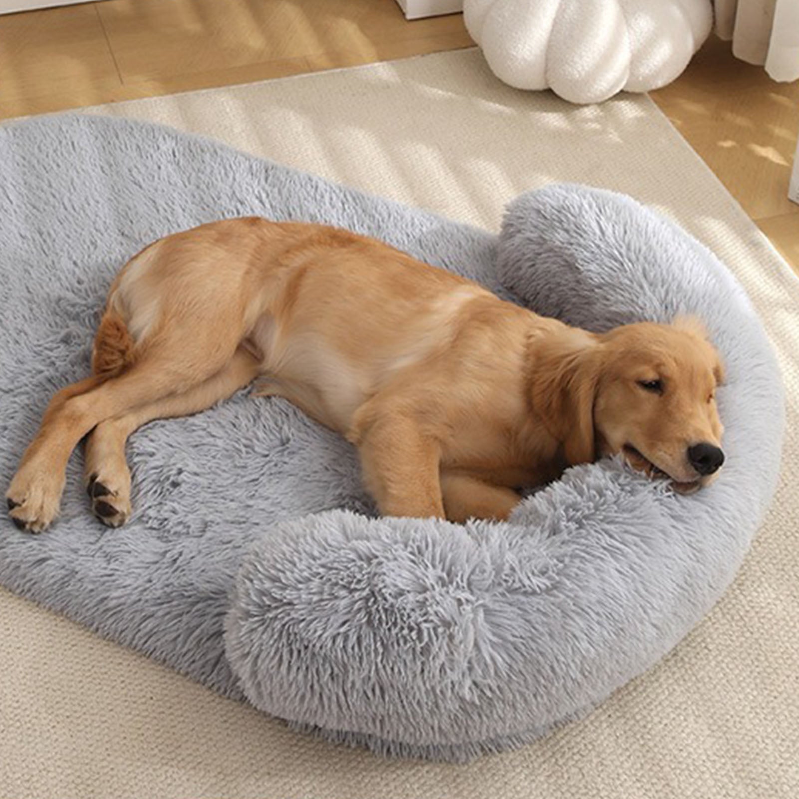 toutou détendu de coussin pour grand chien orthopédique