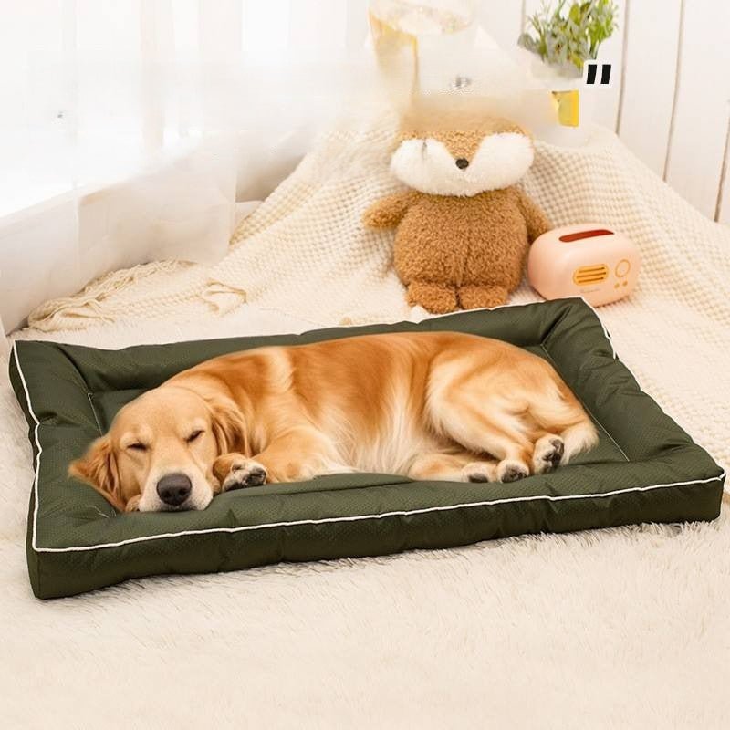 toutou détendu sur couchage pour chien xxl