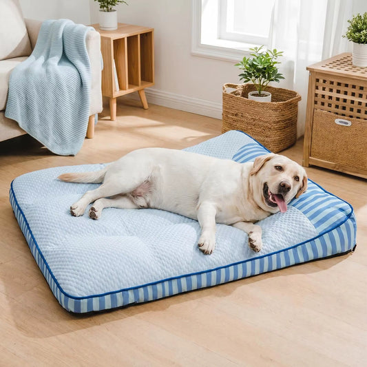 toutou détendu sur coussin rafraichissant pour chien moelleux