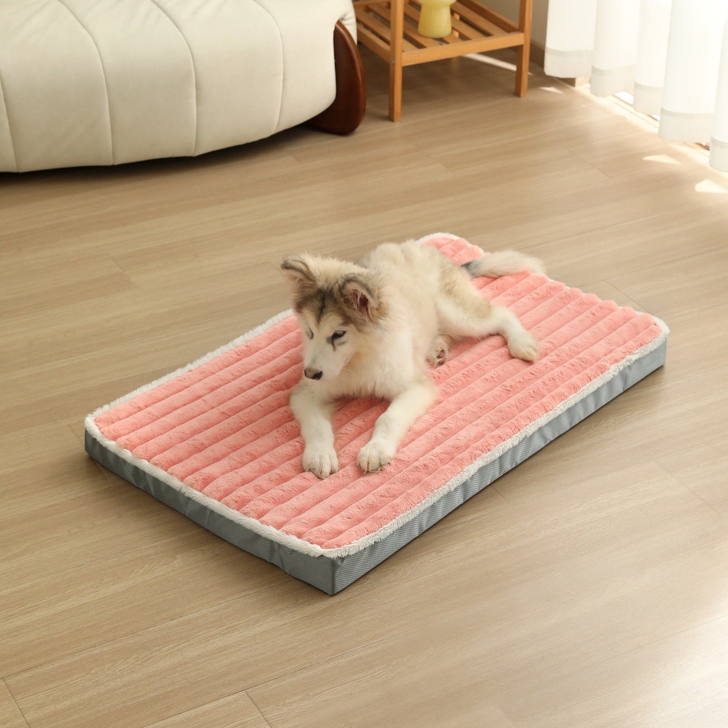 toutou détendu sur matelas pour chien à mémoire de forme