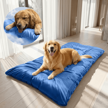 toutou détendu sur tapis pour chien rafraichissant en soi