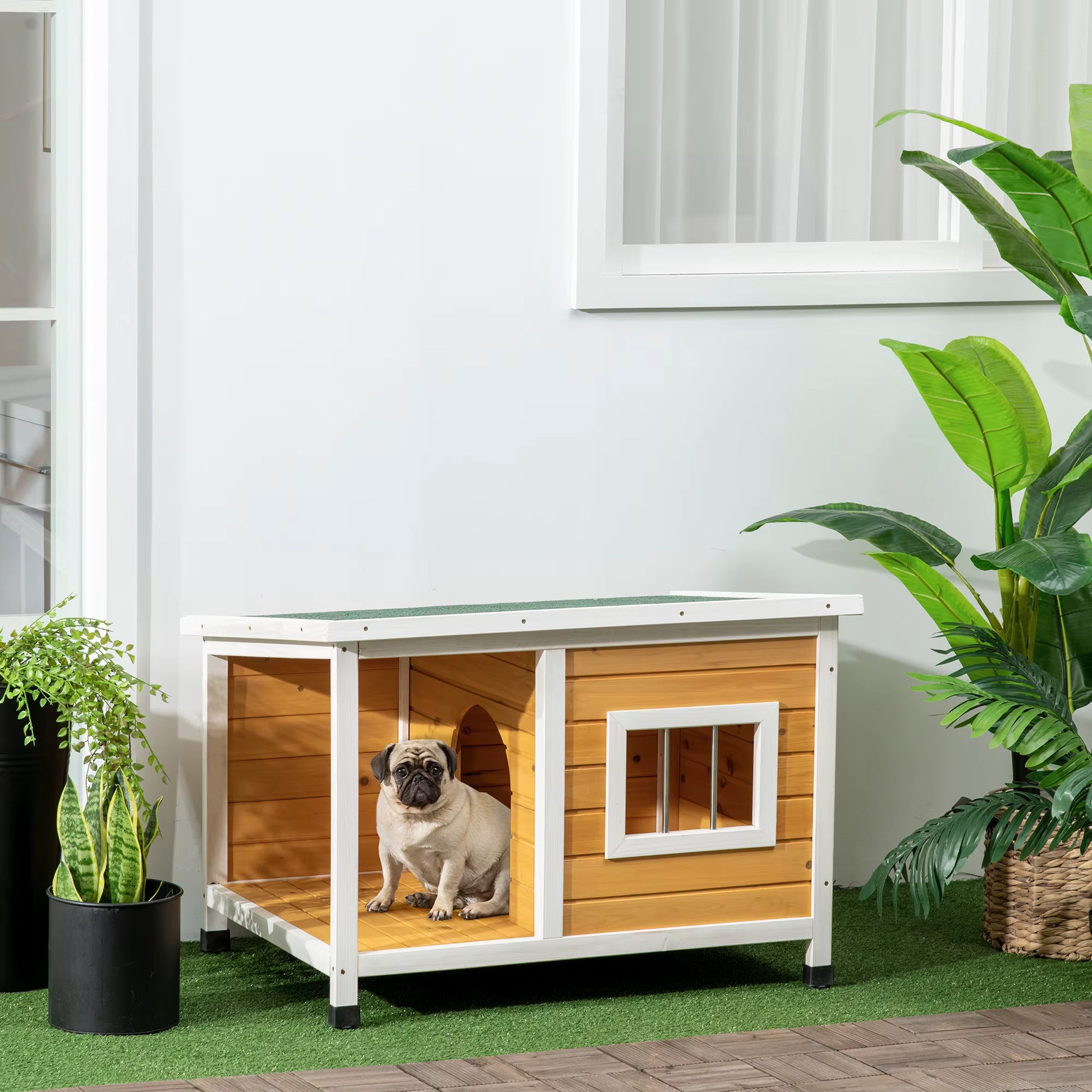 toutou dans niche pour chien toit plat pieds surélevé